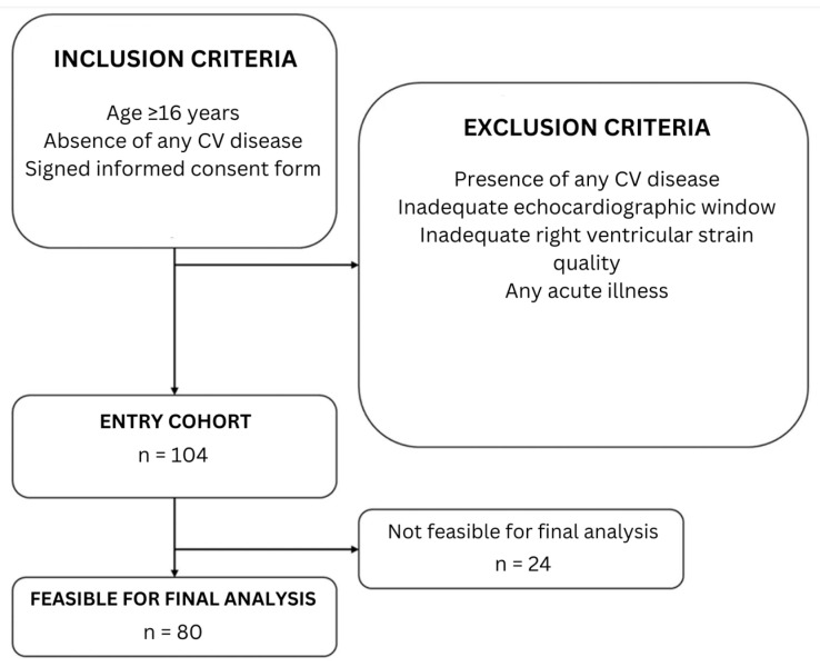 Relationship Between Right Ventricular Function and Body Composition in Adolescents and Young Adults.