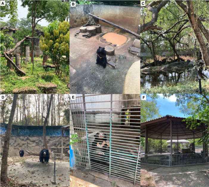 Environmental Parameters as Indicators of Bear Welfare.