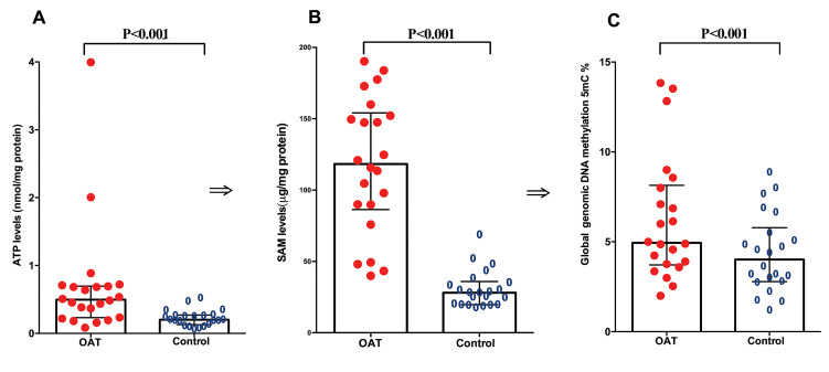 Increased Mitochondrial Common Deletion in Oligo-Astheno-Teratozoospermia Samples Is Not Correlated with Increased Global DNA Methylation: Unexpected Results for ATP Levels.