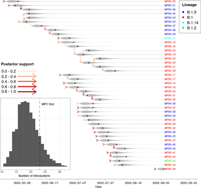Phylodynamic inference suggests introductions as main driver of Mpox Clade II outbreak in 2022 in Slovenia.