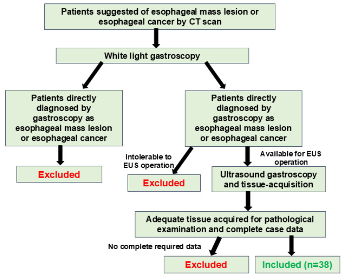 Diagnostic Value of EUS-FNA in the Differential Diagnosis of Esophageal Strictures Lacking Typical Malignant Features.