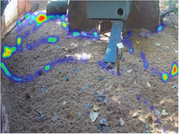 Artificial Intelligence's Potential in Zoo Animal Welfare.
