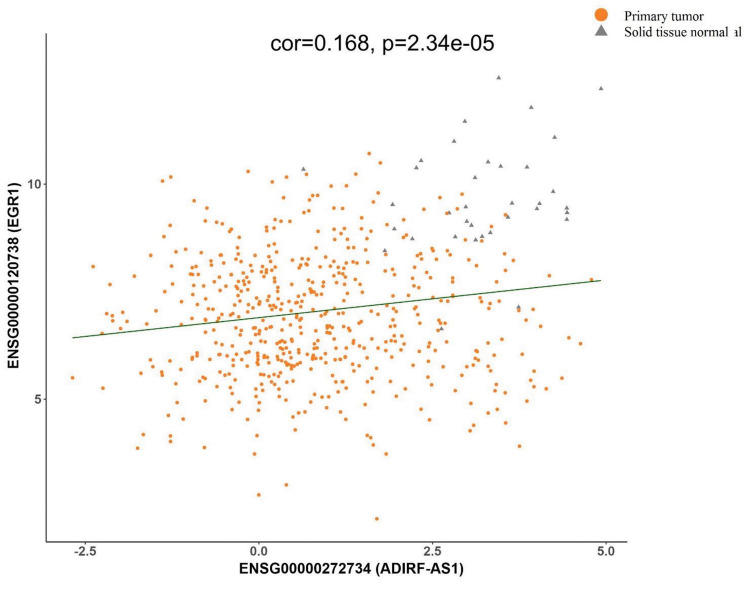 Navigating The CeRNA Axis by Bioinformatics and Experimental Validation: Identification of <i>ADIRF-AS1</i>, miR-191-5p, and EGR1 as Key Players in Endometrial Carcinoma Progression.