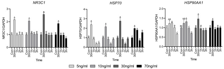 Effects of Short-Term Treatment of Hanwoo Satellite Cells with Various Concentrations of Cortisol.