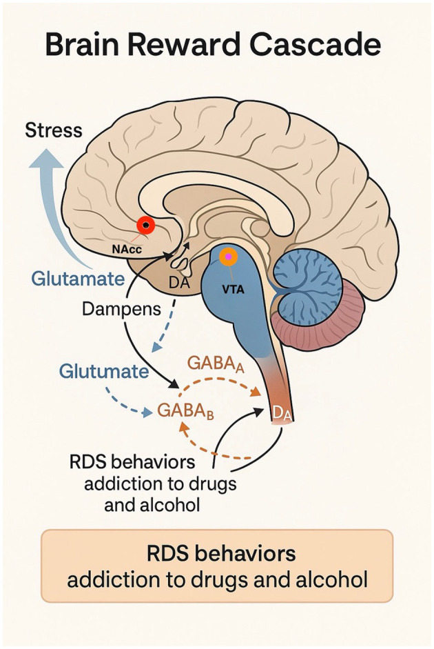 Targeting pro-dopaminergic agonism to attenuate and depression in patient's displaying genetic/epigenetic predisposition to hypodopaminergia.