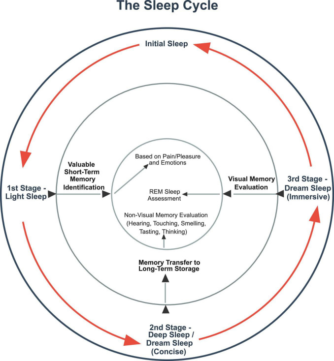 A valuation based theory of learning's origin and development.