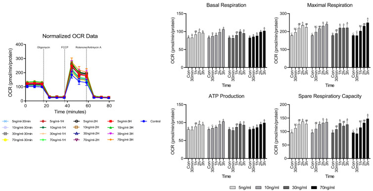Effects of Short-Term Treatment of Hanwoo Satellite Cells with Various Concentrations of Cortisol.