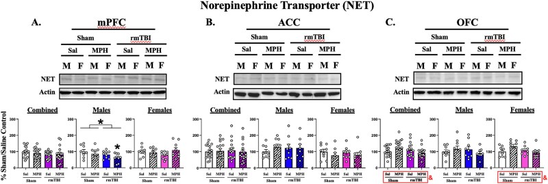Sex-differences in catecholamine transporter expression in the rodent prefrontal cortex following repetitive mild traumatic brain injury and methylphenidate treatment.