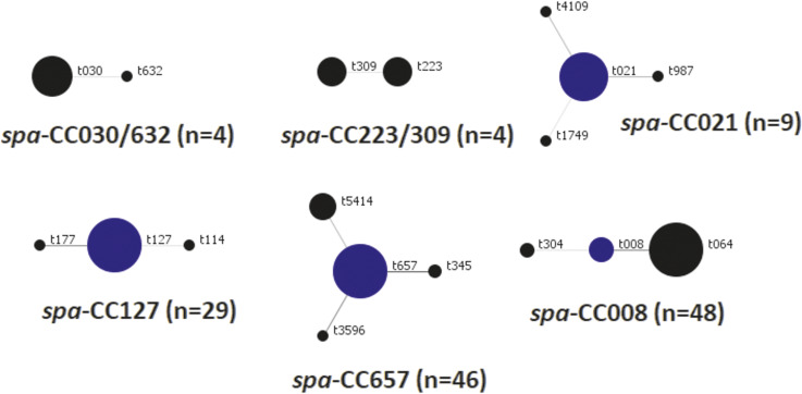 Multiple highly resistant clones of MRSA circulating among patients with skin and soft tissue infection, Peshawar, Pakistan 2021-2022.
