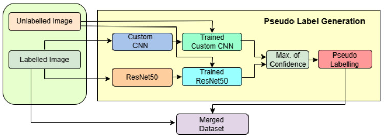 A Robust Semi-Supervised Brain Tumor MRI Classification Network for Data-Constrained Clinical Environments.