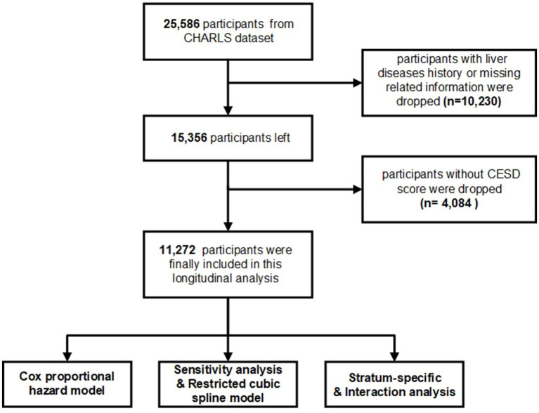 Quantifying depression and the risk of chronic liver diseases: results from a large-scale longitudinal cohort study.