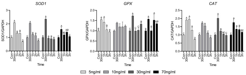 Effects of Short-Term Treatment of Hanwoo Satellite Cells with Various Concentrations of Cortisol.