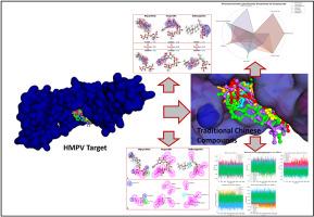 Exploring traditional Chinese medicine for antiviral drug discovery: A computational approach to combat human metapneumovirus (HMPV)