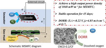 Cu2+-doped NiCo2O4 composite modified carbon felt cathode in marine sediment microbial fuel cells and its enhanced dissolved oxygen reduction reaction kinetics for higher power output