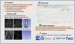 Clinically aligned whole-body MRI segmentation of skeletal metastases via Supervised Anatomical Pretraining