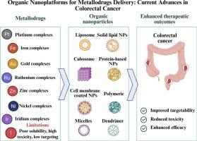 Organic nanoplatforms for metallodrugs delivery: Current advances in colorectal cancer