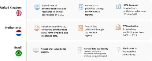 Veterinary antimicrobial monitoring systems in Brazil, the United Kingdom, and the Netherlands: a descriptive comparison to support system development in Brazil