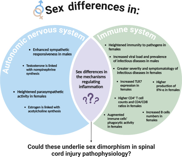 Spinal cord injury-associated disruption of the autonomic immune control: Does biological sex matter?