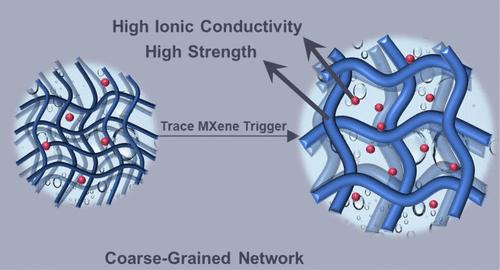 Strong and Tough Hydrogel with High Ionic Conductivity via Coarse ...