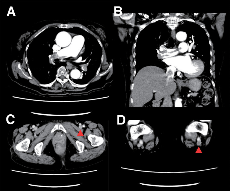 Abstract Image