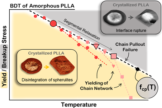 Against the Segmental Relaxation of the Chain Network: Activating the Ductile Mechanism of Both Glassy and Semicrystalline PLLA
