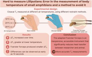 Hard to measure Lilliputians: Error in the measurement of body temperature of small amphibians and a method to avoid it