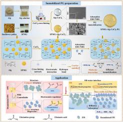 Sunflower pollen microgel-reinforced Ca-alginate hydrogel beads for protein glutaminase immobilization: Gelation and colloidal behavior and insights into flaxseed protein deamidation modification