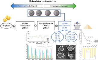 Effects of Hofmeister cation series induced by different alkalizers on the production, structural and functional characteristics of low-sodium soy protein fractions