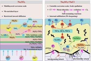 Microstructural evolution and hot corrosion mechanisms of a TiAl-based alloy exposed to pure and mixed molten salt systems