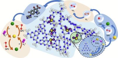 Effects of natural pyrite and g-C3N4 constructed built-in electric field activated percarbonate on NOR removal: Mechanism, pathways, and toxicity analysis