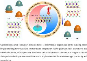 Magnetic and ferroelectric control over spontaneous valley polarization in ScO2RuCl-based room-temperature ferrovalley and multiferroic semiconductors