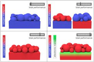 Are the ohmic and polarization resistances of solid oxide electrochemical cells independent from each other?