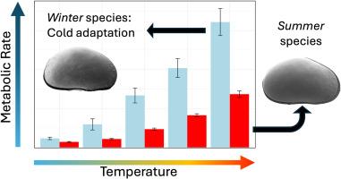 Oxygen uptake in two temporary pond ostracods (Crustacea: Ostracoda) in response to different temperatures and salt contents: testing the Metabolic Cold Adaptation hypothesis