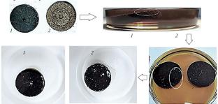 Plasma Modification of Peat Fuel Granules