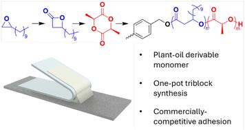 Polyhydroxyalkanoate block polymer adhesives derived from long-chain aliphatic β-lactones and lactide