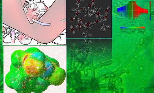 The Hydration Blueprint of Polylactic Acid: Computational Decoding of Noncovalent Interactions for Predictive Biodegradation