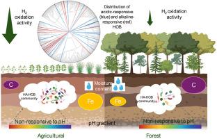 Abstract Image