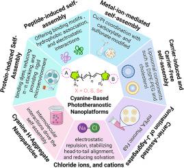 Cyanine Nanoassemblies for synergistic cancer therapy: From aggregate-state modulation to Phototheranostic integration