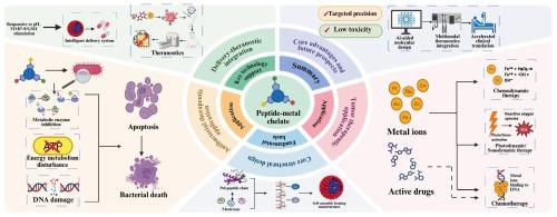 Design mechanisms and biomedical applications of peptide-metal chelates in antimicrobial therapy, tumor theranostics, and integrated diagnosis-treatment systems