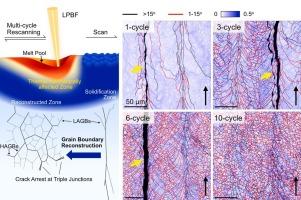 Grain boundary topology engineering enables crack-free additive manufacturing of tungsten