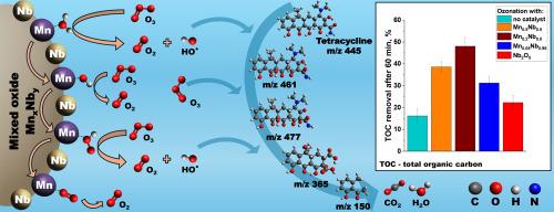 Unraveling the origin of enhanced activity of Mn species in Nb2MnO6 mixed oxide during mineralization of tetracycline via catalytic ozonation