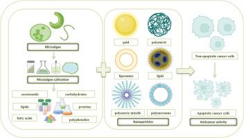 Microalgae-derived biomolecule and nanoparticle conjugates: Emerging therapeutic platforms for cancer treatment