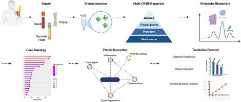 Proteomic biomarkers in rotator cuff disease: Current evidence and translational implications from a systematic review and network analysis