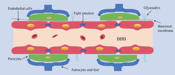 Traumatic brain injury: Bridging pathophysiological insights and precision treatment strategies.