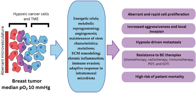 Roles of oxygen in the tumorigenesis, progression, and treatment of breast cancer.