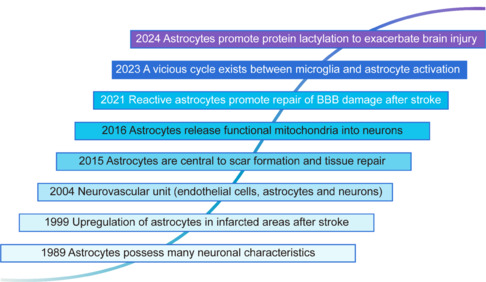Astrocytes: Therapeutic targets for stroke.