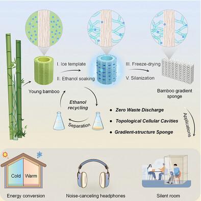A Sustainable Route toward Gradient-Structured Sponge with Topological ...