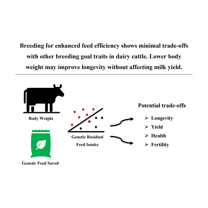Genetic associations between feed efficiency traits and breeding goal traits in Nordic Holsteins