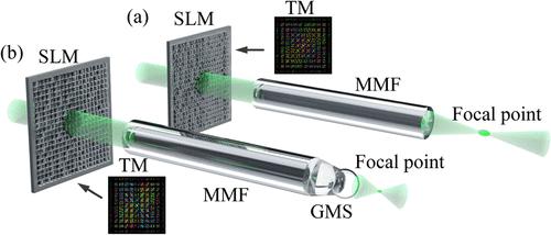 Multimode Fiber Imaging with High Numerical Aperture - Book学术