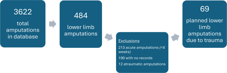 Planned amputations after lower limb trauma : indications and long-term complication rates.